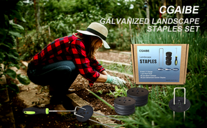 สมอบกเหล็กชุบสังกะสี ขนาด 6 นิ้ว เบอร์ 11 สำหรับจัดสวน สมอบกสำหรับงานจัดสวนและยึดหญ้า - Product Image 6