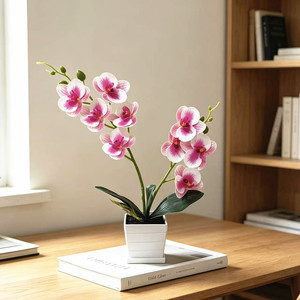 Fleur artificielle Paulon Phalaenopsis Orchidée 42 cm de haut en plastique souple, décoration de bureau pour la maison et accessoires de mariage - Product Image 4