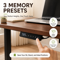 Escritorio Eléctrico Ajustable en Altura de Alta Calidad Personalizado, Mesa de Oficina Ergonómica de 120x60cm con Controlador de Memoria