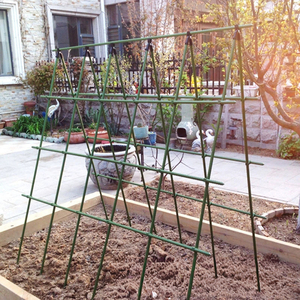 2025 nouveaux piquets de Support de plante de jardin de vente chaude pour fleurs grimpantes poteau de vigne antirouille réglable - Product Image 4