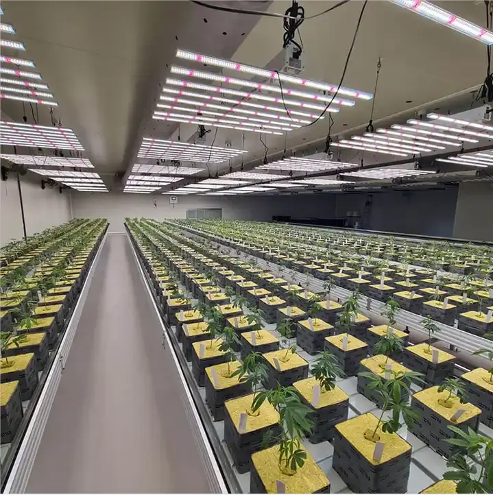 Led 1000Wグローライトカバー5-6M2高収量フルスペクトル調光可能グローライト水耕栽培屋内植物用