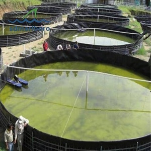 Tanques de cultivo de <span class=keywords><strong>gambas</strong></span> de PVC con revestimiento para estanque de peces de plástico grande SDM - Product Image 6