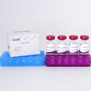 Soro de Controle Negativo de Alta Qualidade para ELISA/<span class=keywords><strong>IHC</strong></span> - Animal-Free, Estéril, Bulk Orders Available - Product Image 5