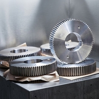 Service d'usinage de pièces métalliques de précision à haute capacité de charge, fabrication OEM/ODM en usine, engrenage hélicoïdal en acier forgé