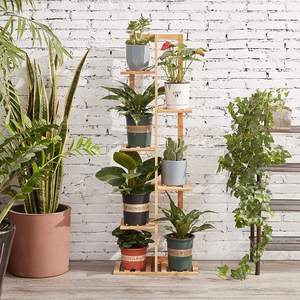 Étagère à plantes en <span class=keywords><strong>bambou</strong></span> à 6 niveaux <span class=keywords><strong>pour</strong></span> l'intérieur et l'extérieur, idéale <span class=keywords><strong>pour</strong></span> la <span class=keywords><strong>terrasse</strong></span>, le jardin, le coin, le balcon - Product Image 2