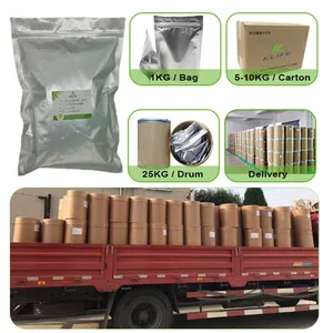 Großhandel Bulk Pine Bark Extract 95% OPC Pine Bark Extract Pulver