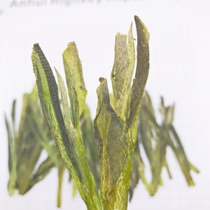 ชาเขียวพิเศษจากจีนเกรดดี LT03ไทปิงโหวไท่ไทปิงไทปิง - Product Image 5