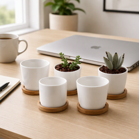 Mini-pots d'intérieur en grès au design le plus récent pour plantes