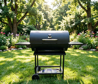 Barbecue au charbon de bois NL Modern Premium avec structure pliable en fer thermolaqué, roulettes et table double face pour usage domestique et extérieur