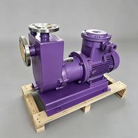 Bomba de Accionamiento Magnético Autocebante de Acero Inoxidable ZCQ Personalizada de Fábrica para Bombeo de Líquidos Ácidos en Metalurgia de Tierras Raras