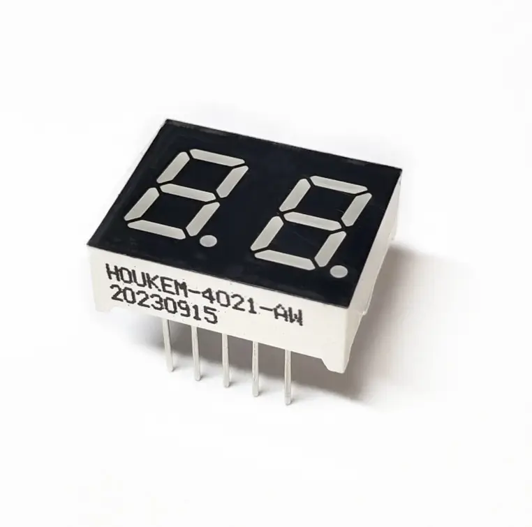10 PIN display angka dua digit 0.4 "2 digit 7 segmen display led sirkuit C/D