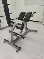 Rosen Luxury Commercial Strength Training Indoor OEM Factory Bodybuilding Gym Fitness Muscles Workouts Equipment Back Extension