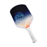 Raquette de pickleball T800 en fibre de carbone brute durable, thermoformée, noyau en nid d'abeille de 16 mm, raquette USAPA Power Spin pour le divertissement