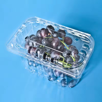 Récipient à fruits 500g en plastique pour raisins avec couvercle