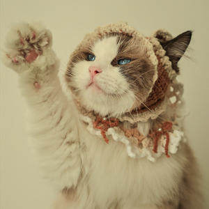 زينات عيد الميلاد المحبوكة باليد والكروشيه ، والقبعات المحبوكة ، والأوشحة العصرية مثالية لاستخدام القطط والكلاب - Product Image 6