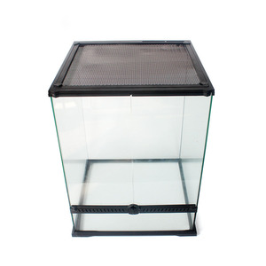 Glazen terrarium met regenwoud- en paludariumdesign, reptielenbak voor hagedissen, kameleons en tropische planten. - Product Image 3