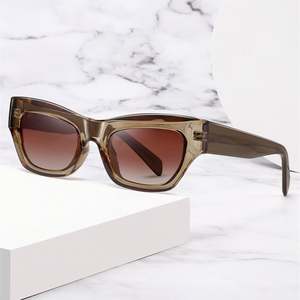 Gafas de Sol Polarizadas TR90 con Marco Pequeño y Diseño de Ojo de Gato, Protección UV400, Acetato, para Mujer, con Logotipo Personalizado, Moda 2025 - Product Image 2