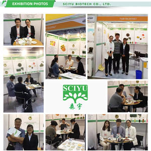 SCIYU <strong>citrus</strong> <strong>aurantium</strong> solvent botanical <strong>extract</strong> orange peel <strong>extract</strong> for pharmaceutical and products - Product Image 5