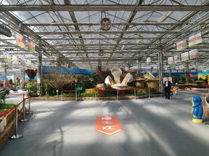 12mm plat diviseur mural toiture <span class=keywords><strong>pas</strong></span> <span class=keywords><strong>cher</strong></span> verre Transparent liste de prix feuille de Polycarbonate Multiwall - Product Image 5