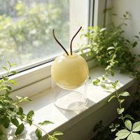Diffuseur d'arômes moderne et écologique en verre double couche, bouteille vide pour diffuseur à bâtonnets, libération de parfum pendant 1 mois pour la maison