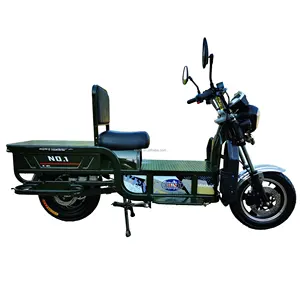 Il triciclo elettrico ad alta velocità multifunzionale consegna il triciclo elettrico del corriere delle merci per le vendite