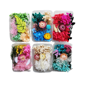 En vrac <span class=keywords><strong>pas</strong></span> <span class=keywords><strong>cher</strong></span> Eucalyptus <span class=keywords><strong>fleurs</strong></span> sèches bricolage boîte de fabrication de bougies <span class=keywords><strong>fleurs</strong></span> séchées multiformes pour l'obtention du diplôme saint valentin Halloween - Product Image 1