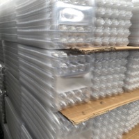 Boîte à œufs en PET rigide ultra-transparente à 30 compartiments, grande capacité, pour le stockage des œufs en vrac, pour les cuisines commerciales et les services de restauration