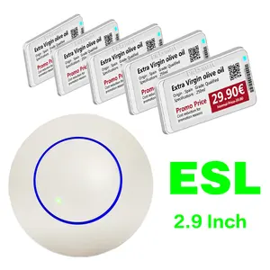 Label harga Digital eink Supermarket ESL 2.9 inci Label rak elektronik sistem peraga Kit Demo Epaper
