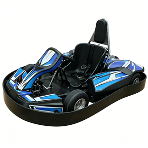 Kart électrique à prix abordable avec matériaux écologiques, karts électriques pour adultes pour les lieux de loisirs en plein air - Product Image 1