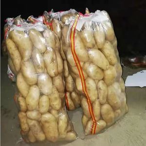 Yüksek dayanıklılık fabrika toptan özel polipropilen çanta tarım tahıl 25kg 50kg şeffaf plastik çantalar - Product Image 6