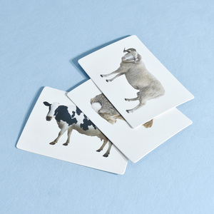 Set <span class=keywords><strong>di</strong></span> Carte Educative per Bambini OEM con Stampa CMYK/Pantone, Gioco <span class=keywords><strong>di</strong></span> Carte Flash Bifacciali con Illustrazioni Realistiche <span class=keywords><strong>di</strong></span> Animali - Product Image 2