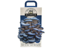 Boîte de culture de champignons vide avec impression de logo personnalisée, kit de culture de champignons, boîtes d'emballage en carton ondulé pour la culture de champignons