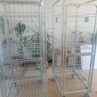 Chariot de manutention en treillis métallique pour entrepôt, économique, capacité de charge 500 kg, surface galvanisée, roulettes pivotantes avec frein