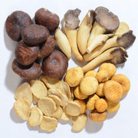 Directement du fabricant 4 types de chips de champignons mélangées Snack aux champignons durs et salés dans une boîte pour les amateurs de calories faibles