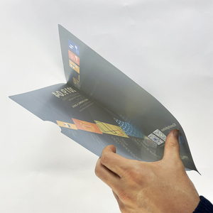 Tùy chỉnh Tấm Nhựa Chủ tài liệu thư mục in đầy đủ màu sắc lý tưởng cho các ứng dụng công ty và triển lãm - Product Image 3