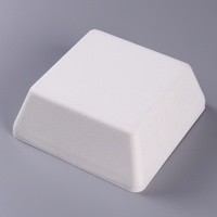 Haute qualité recyclable biodégradable pâte de canne à sucre pâte à papier Fiber usine moulé boîte d'emballage ciel et terre boîtes de couverture
