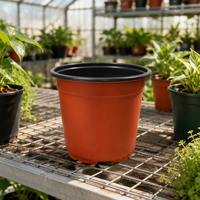 Mini pot à semis en plastique PP bicolore pour jardin de plantes succulentes à domicile