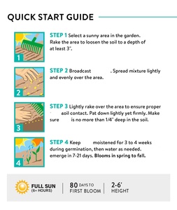 Mélange de coupe de truies de fleurs sauvages sans OGM 15 variétés de fleurs sauvages <span class=keywords><strong>vivaces</strong></span> pour pots de fleurs jardinières en vrac <span class=keywords><strong>avec</strong></span> fleurs artificielles - Product Image 5