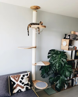 Arbre à chat du sol au plafond en sisal naturel hauteur du griffoir, arbre d'activité moderne réglable pour chat XXL pour grand chat