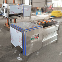 Industriële elektrische grote capaciteit automatische fruit-, groente-, gember- en cassave-was- en schilmachine