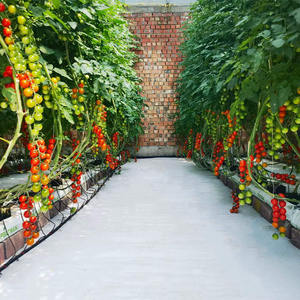 WON, plástico blanco, vivero agrícola, mantillo, barrera de malezas, cubierta de suelo, alfombrilla tejida para malezas - Product Image 5