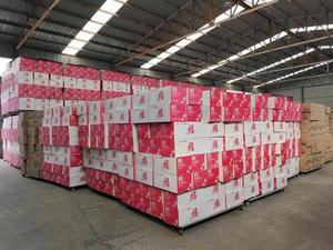 Hy bọ<span class=keywords><strong>t</strong></span> hoa Hoa khối gạch để chèn hoa ướ<span class=keywords><strong>t</strong></span> bùn hoa bọ<span class=keywords><strong>t</strong></span> - Product Image 5