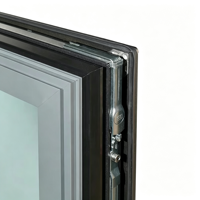 Dernier design Fenêtre à battant et oscillo-battante en aluminium, profilé long et fin, à ouverture bidirectionnelle, avec échantillon de verre