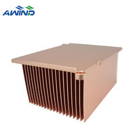 Dissipateur thermique personnalisé, 1 pièce, figurine skin en cuivre, Fin, Ram, radiateur