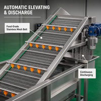 Industriële reinigingsmachine voor de verwerking van fruit en groenten, capaciteit 100-1000 kg voor groente- en fruitkiemen