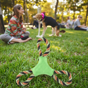 Fabricante de alta calidad, fuerte y resistente, Boomerang, juguete interactivo para perros, volante multicolor, juguete para buscar, juguete triangular, productos para mascotas - Product Image 2