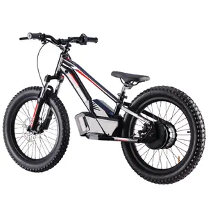 China top hot FXB electric bike 20 inch 800w electric balance bicycle cheap electric kids' bike for boys girls 8-15years old