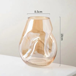 Jarrón de cristal minimalista de estilo europeo, jarrón irregular, decoración, arreglo floral, decoración transparente - Product Image 3
