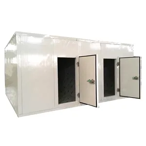 Pu Panel Mobile Container Walk In Freezer Cooler Chiller Freezing Cool Room Storage Vegetable Frozen Food Cold Room