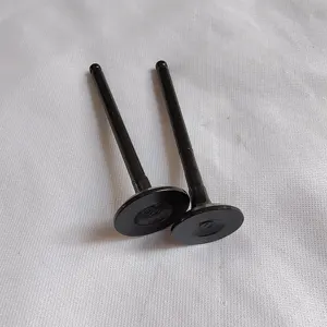 INTAKE AND EXHAUST VALVES FOR TOYOTA NISSAN MITSUBISHI HYUNDAI MAZDA FORD HONDA ISUZU SUZUKI DAIHATSU ENGINE VALVES